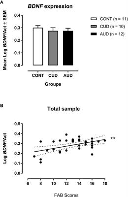 BDNF mRNA Expression in Leukocytes and Frontal Cortex Function in Drug Use Disorder